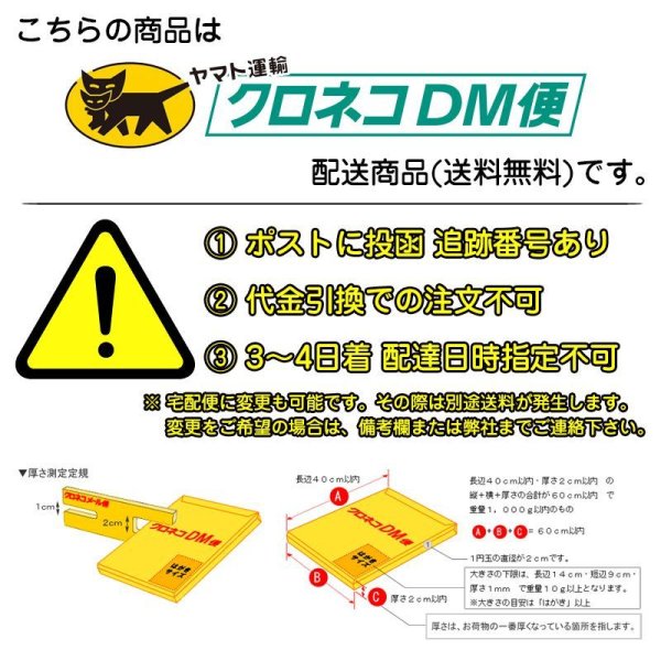 画像2: 記号・図形テンプレート定規　100X234X1ｍｍ (2)